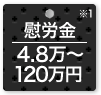 慰労金_4.8万円?91.2万円